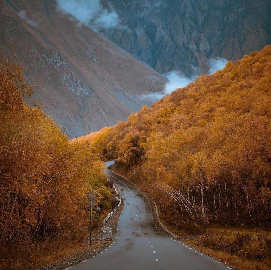 Hotel Axien Kazbegi Ngoại thất bức ảnh