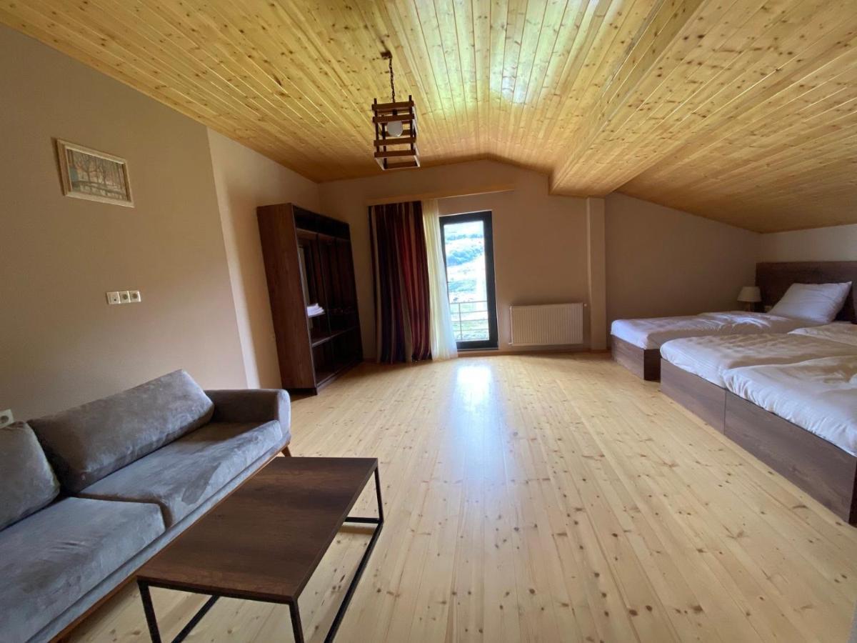 Hotel Axien Kazbegi Ngoại thất bức ảnh